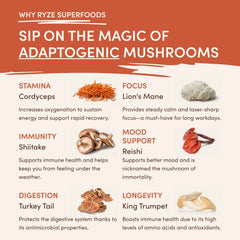 Vanilla Creamer 3-Pack
